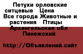 Петухи орловские ситцевые › Цена ­ 1 000 - Все города Животные и растения » Птицы   . Архангельская обл.,Пинежский 